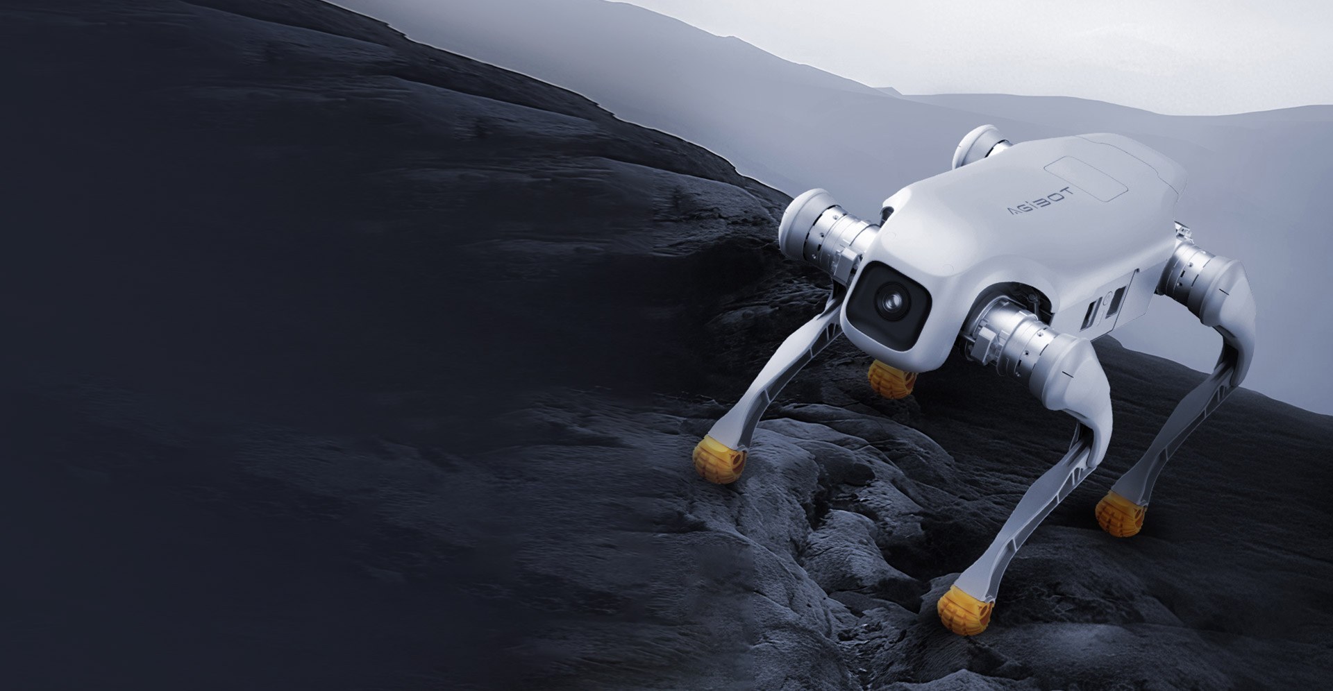 AGIBOT D1 Pro / Edu