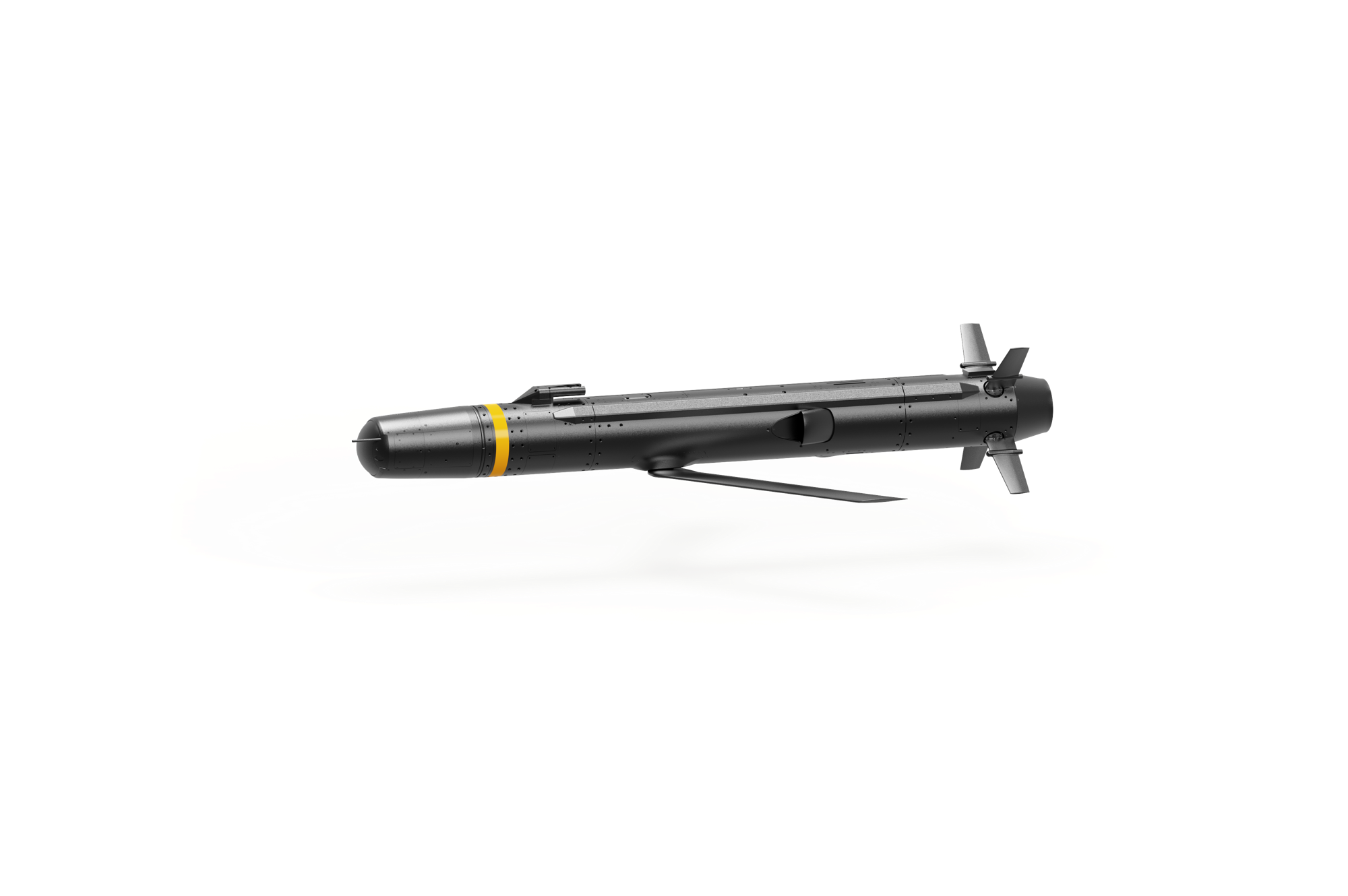 Barracuda