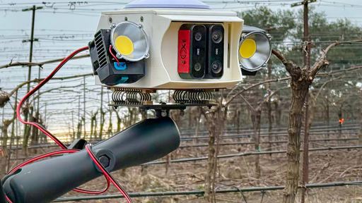 FruitScope Vision System
