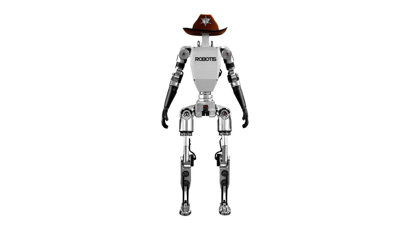 AI Sapiens K0