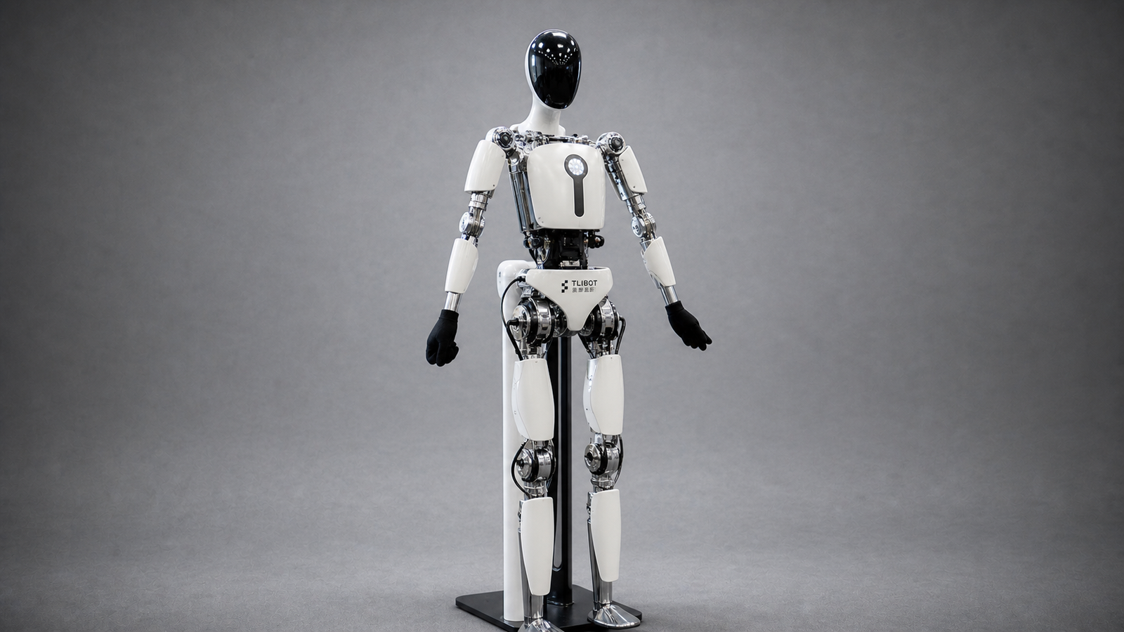 TLIBOT