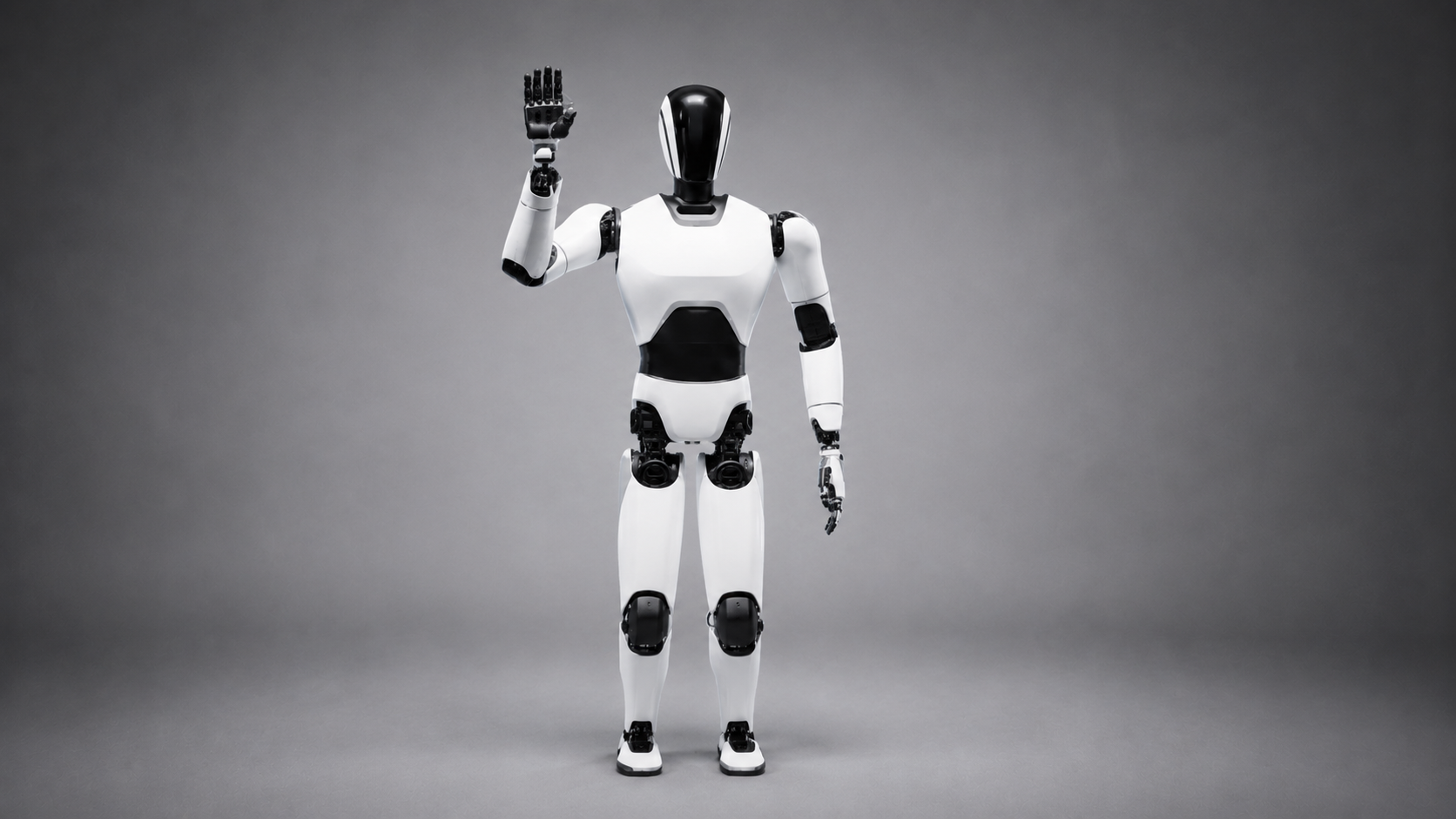 Universal Humanoid Robot