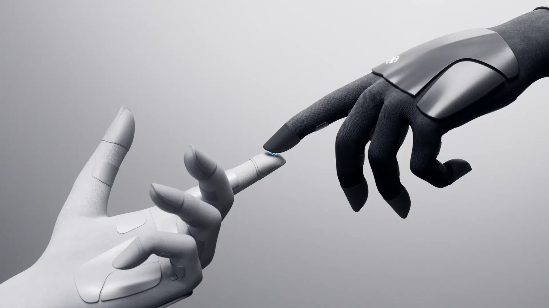 Xynova Flex 2